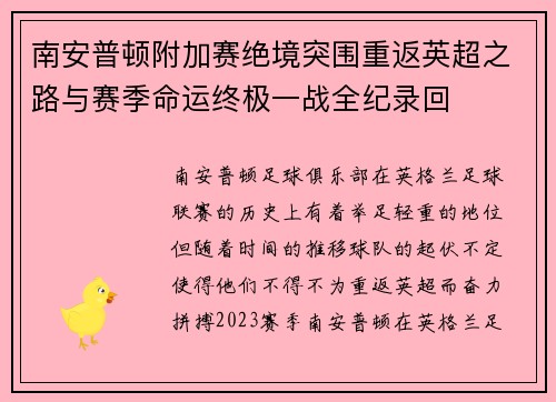 南安普顿附加赛绝境突围重返英超之路与赛季命运终极一战全纪录回 南安普顿附加赛绝境突围重返英超之路与赛季命运终极一战全纪录回