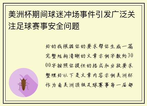 美洲杯期间球迷冲场事件引发广泛关注足球赛事安全问题